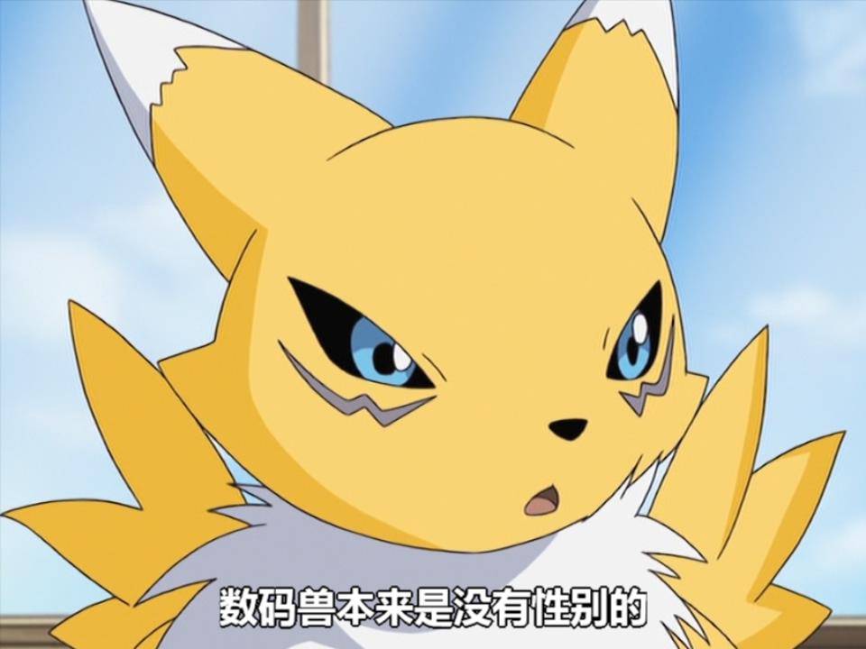 在《数码宝贝驯兽师之王》第49集中的妖狐兽就明确说过"数码兽本来是