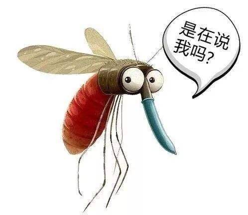 烦人的蚊子声和痒痒包为啥你的蚊子包比别人更痒