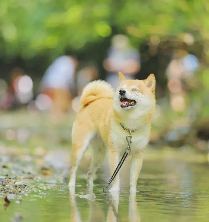 图片[7] - 【xizi被窝段子20200818】人生的旅程就是这样：用大把时间迷茫 在几个瞬间成长 - xizi