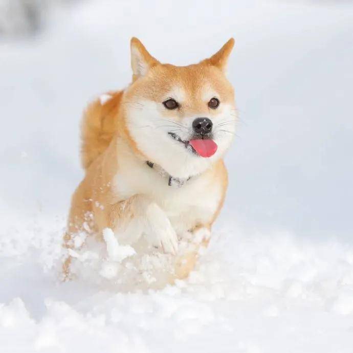 图片[4] - 【xizi被窝段子20200818】人生的旅程就是这样：用大把时间迷茫 在几个瞬间成长 - xizi