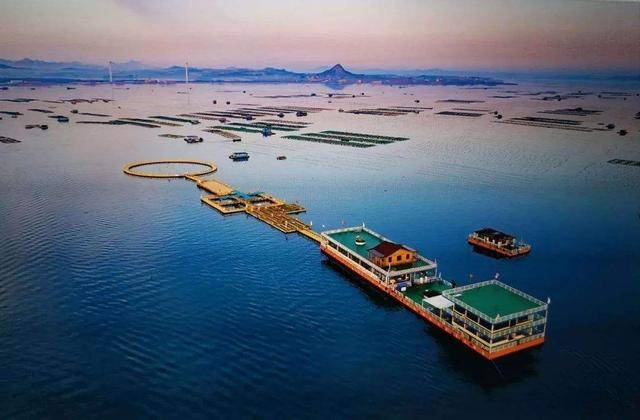 中国四大海洋牧场图片