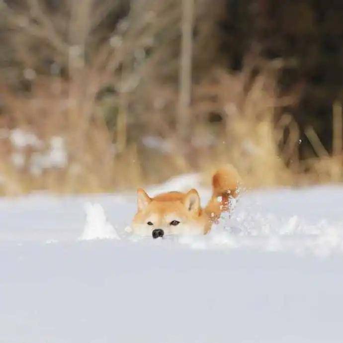 图片[9] - 【xizi被窝段子20200818】人生的旅程就是这样：用大把时间迷茫 在几个瞬间成长 - xizi