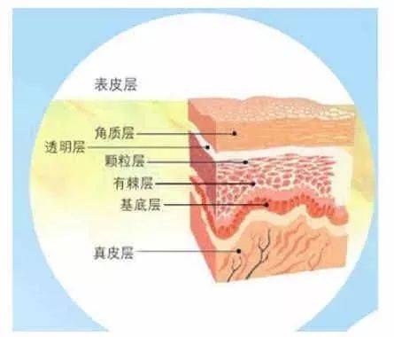 魚鱗病秋季護理,這裡有一篇讓你相見恨晚的文章!