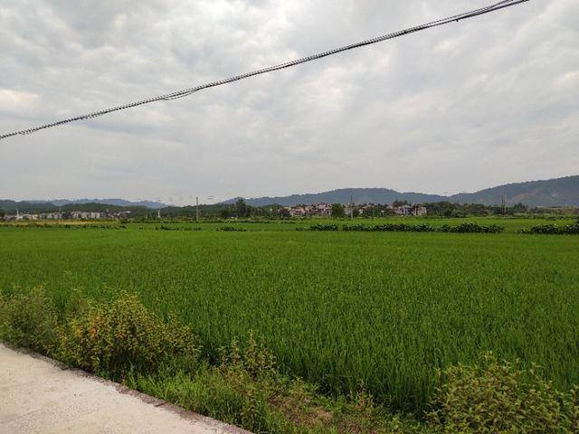 新晋网红乐安县建县871年身在抚州心系吉安老百姓富得流油