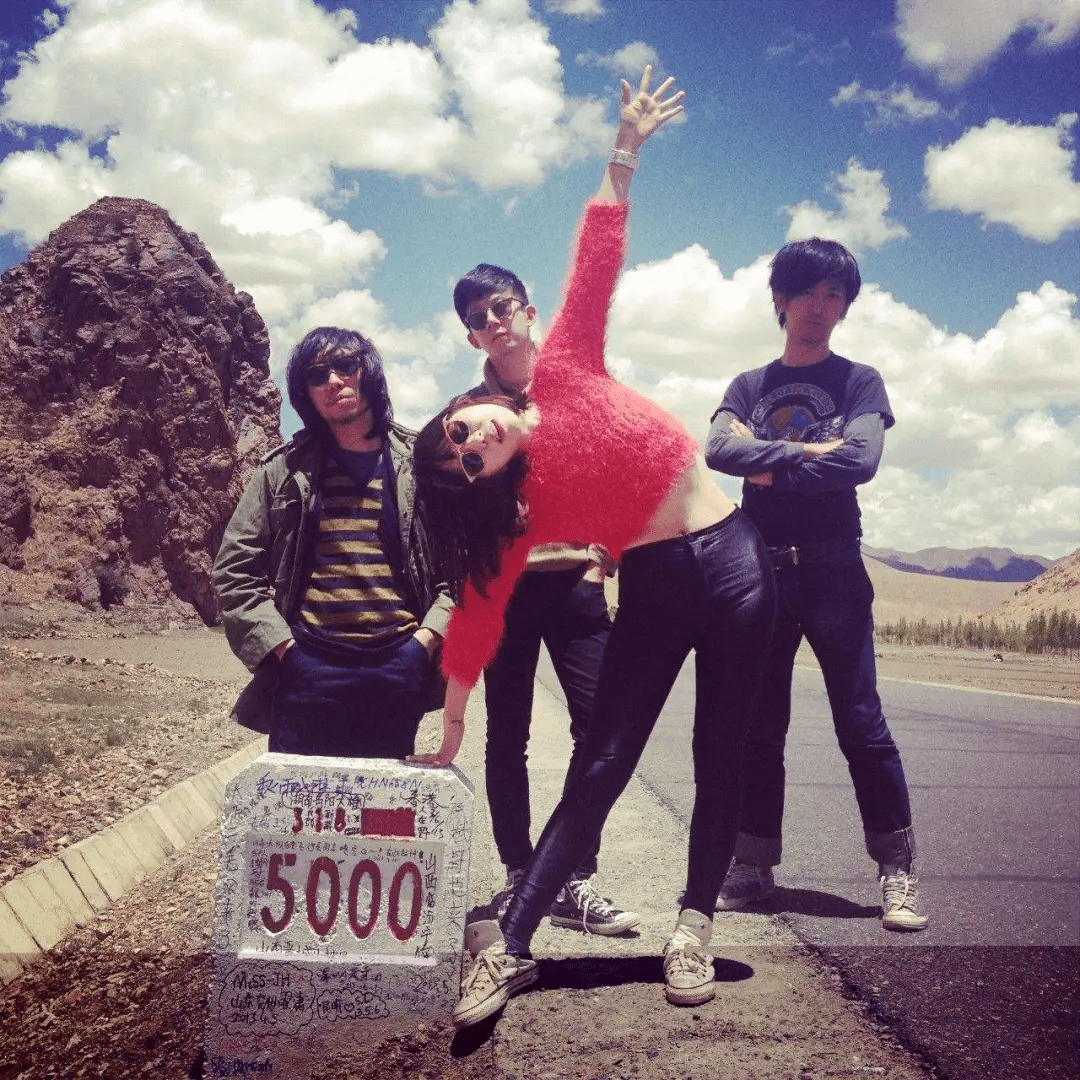 后海大鲨鱼有多"野"?_付菡