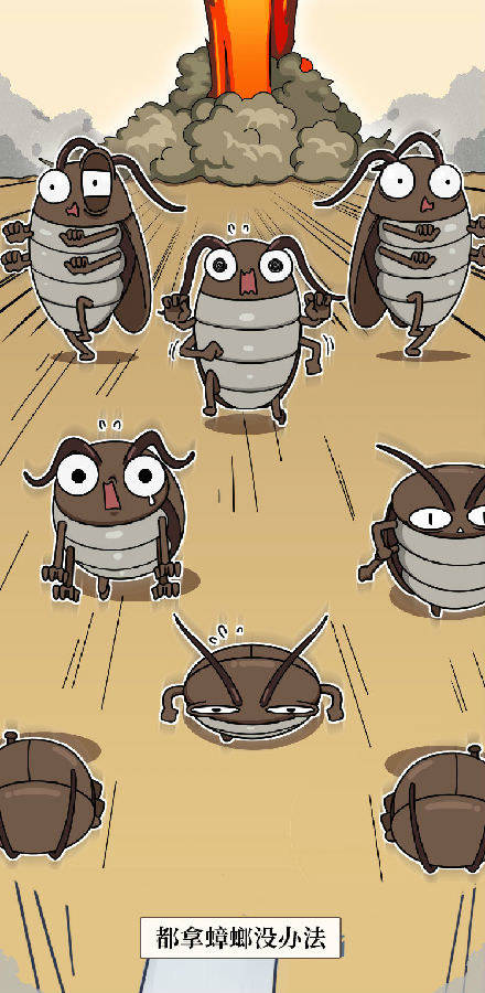 蟑螂一生可产4500只后代怎样才能铲草除根灭蟑螂4大方法