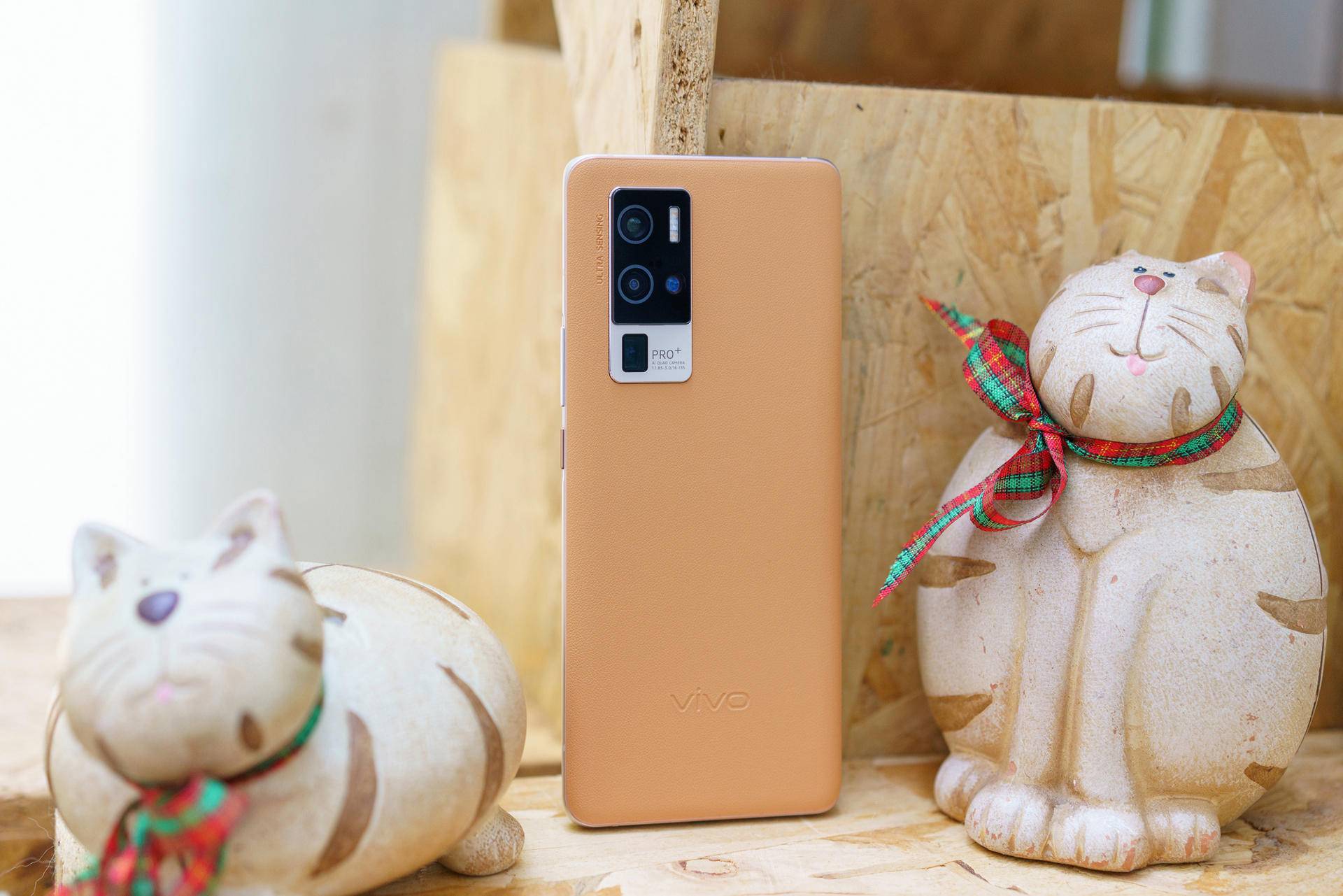 vivox50pro拥有专业影像实力美照信手拈来