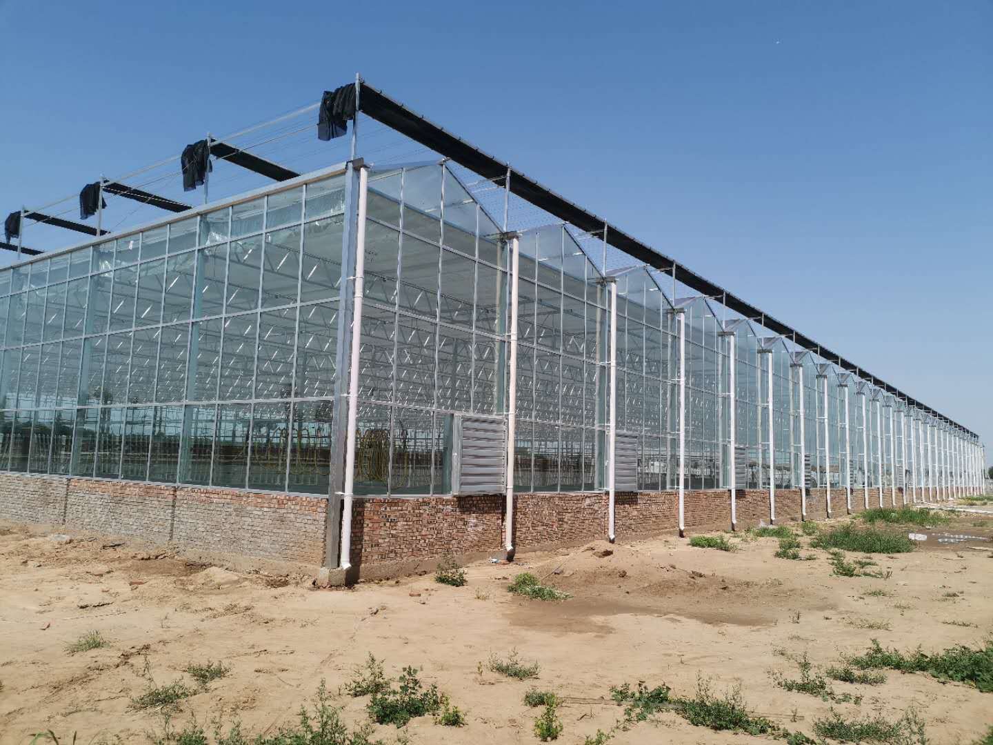 歌珊温室大面积连栋温室大棚降温的四个措施