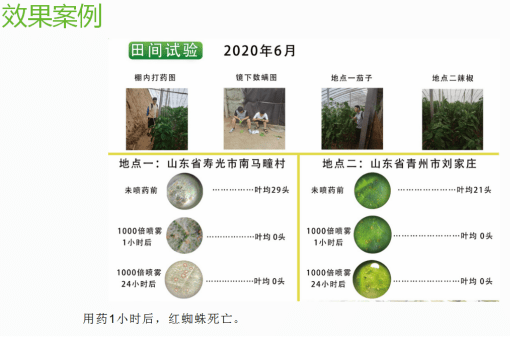 3,拒食活性物质通过害虫的口器及消化系统进入体内,导致中毒或死亡;2