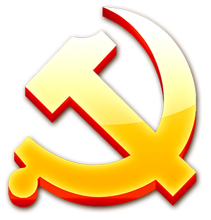 党组织书记要努力提升党组织的政治功能_基层