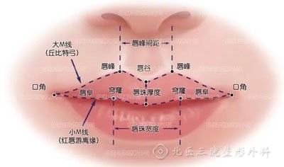这些让嘴唇变美的方法,你猜到几个?_人中