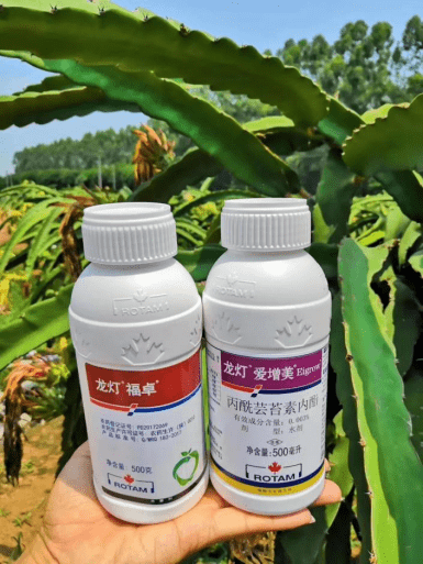 抗逆护物,共抗灾情,龙灯化学获种植者好评不断!