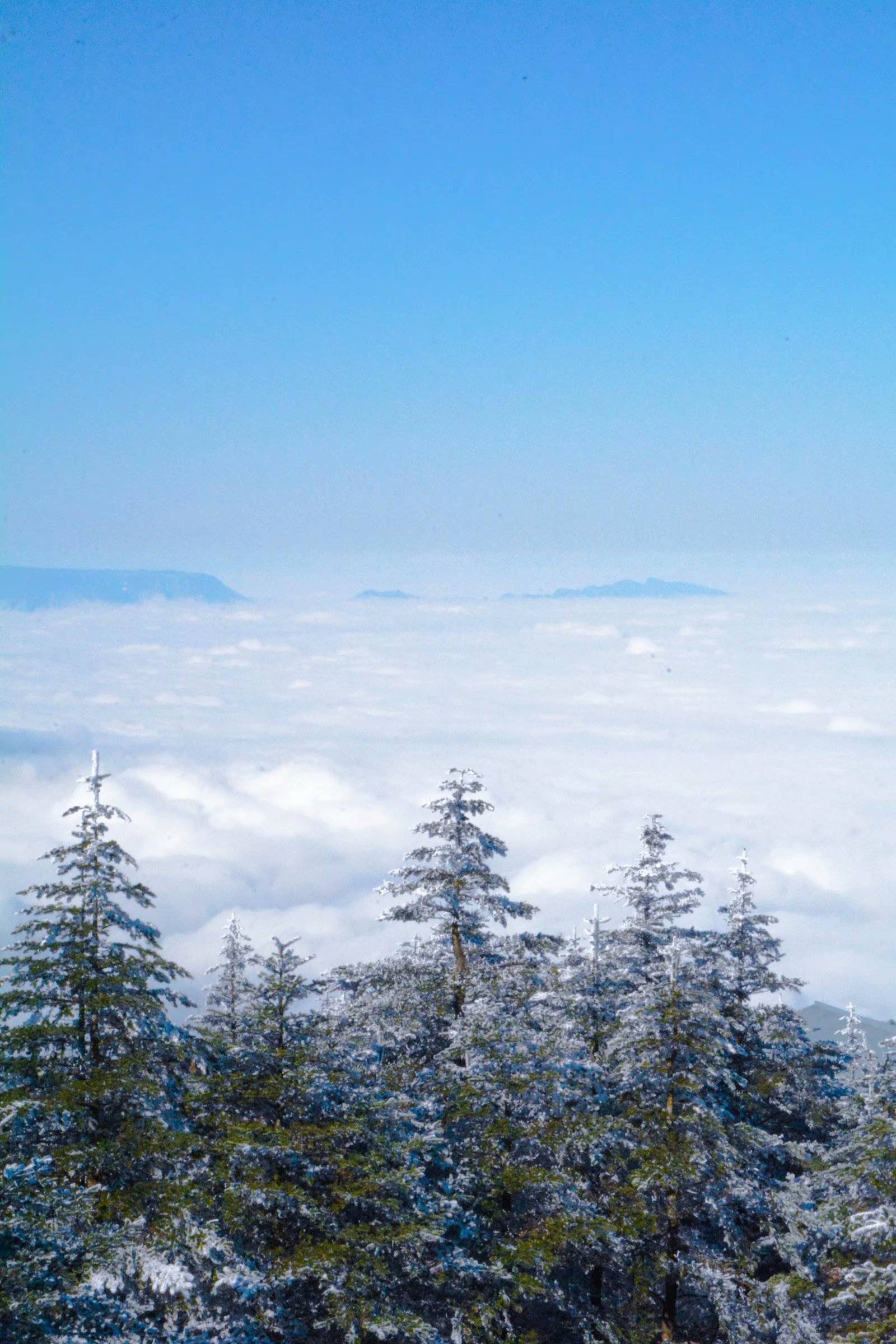 冬游峨眉山——金顶,云海,四面十方普贤金像,雪松