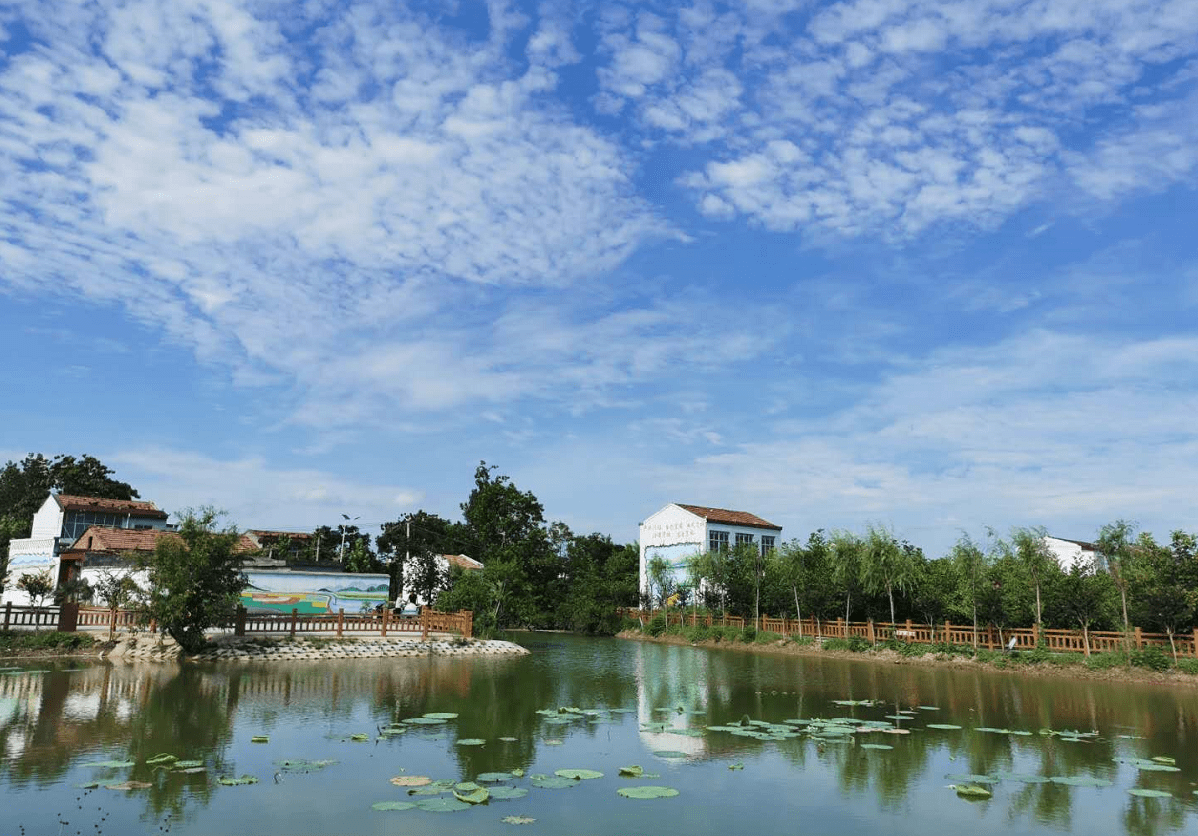 安徽省濉溪县环境整治多维发力群众满意亮点纷呈_铁佛镇