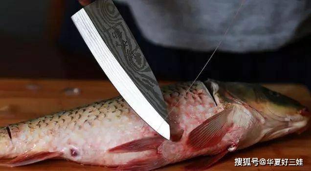 這才是殺魚的最高境界生吃都沒腥味卻很少有人知道