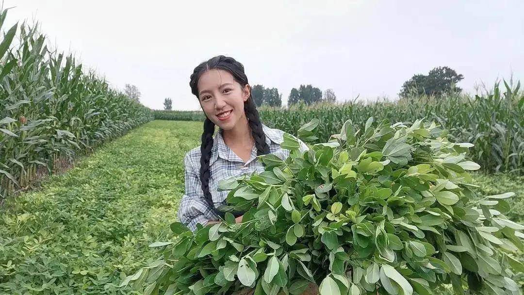 正能量河南滑县单亲家庭女孩麦小登为照顾父亲回家创业