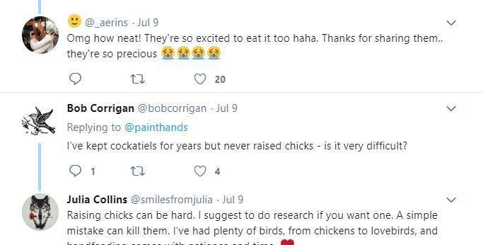 甚至,还有很多大佬,专门给kiwi和siouxsie画了漫画.