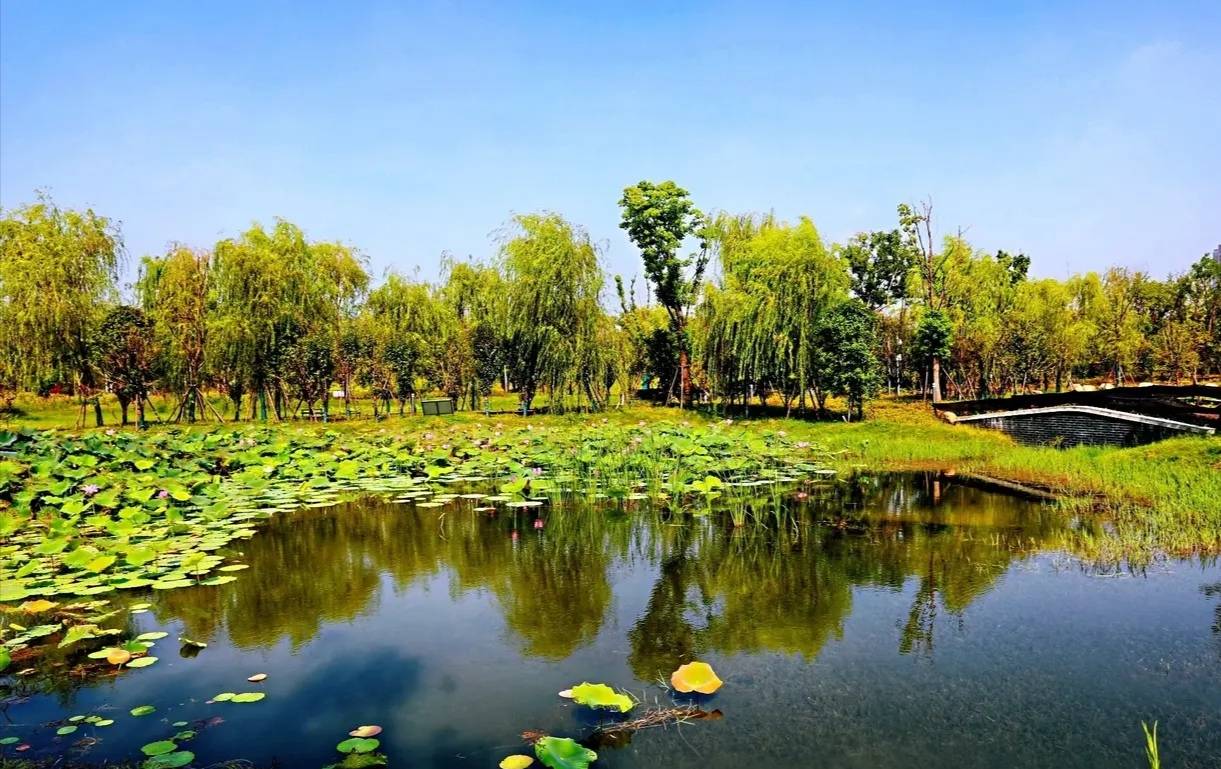 武漢市江夏區江城南大門這裡秀麗風景旅遊好去處