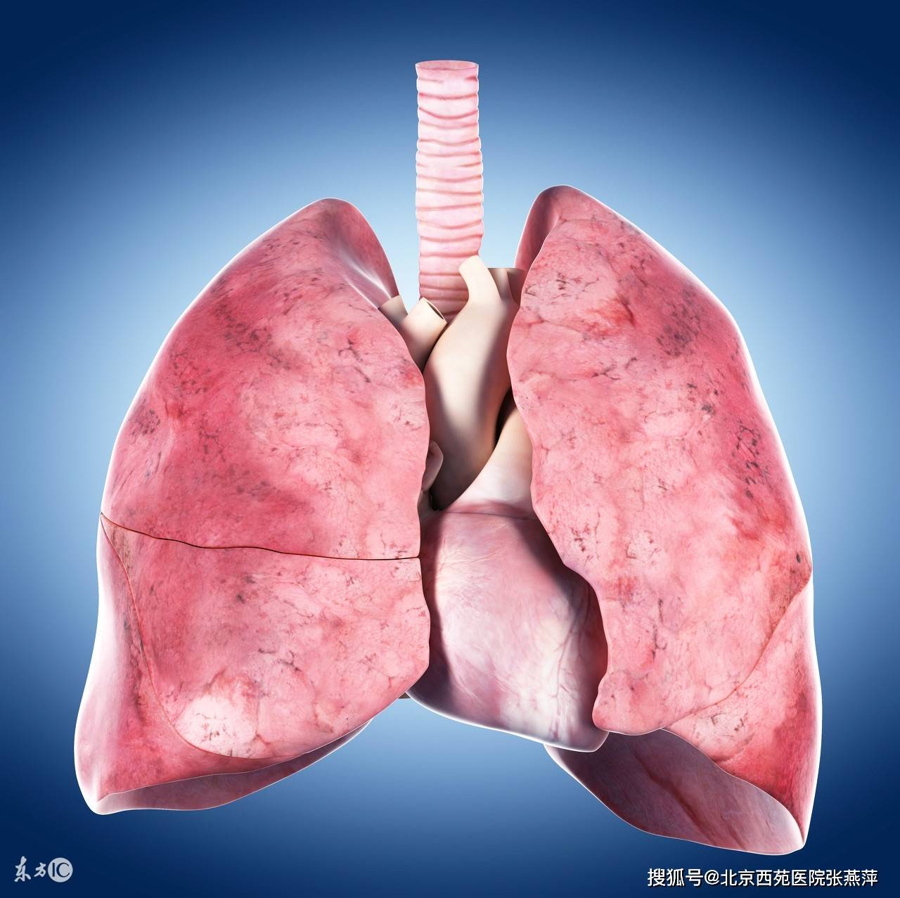 肺良性肿瘤有哪些典型症状