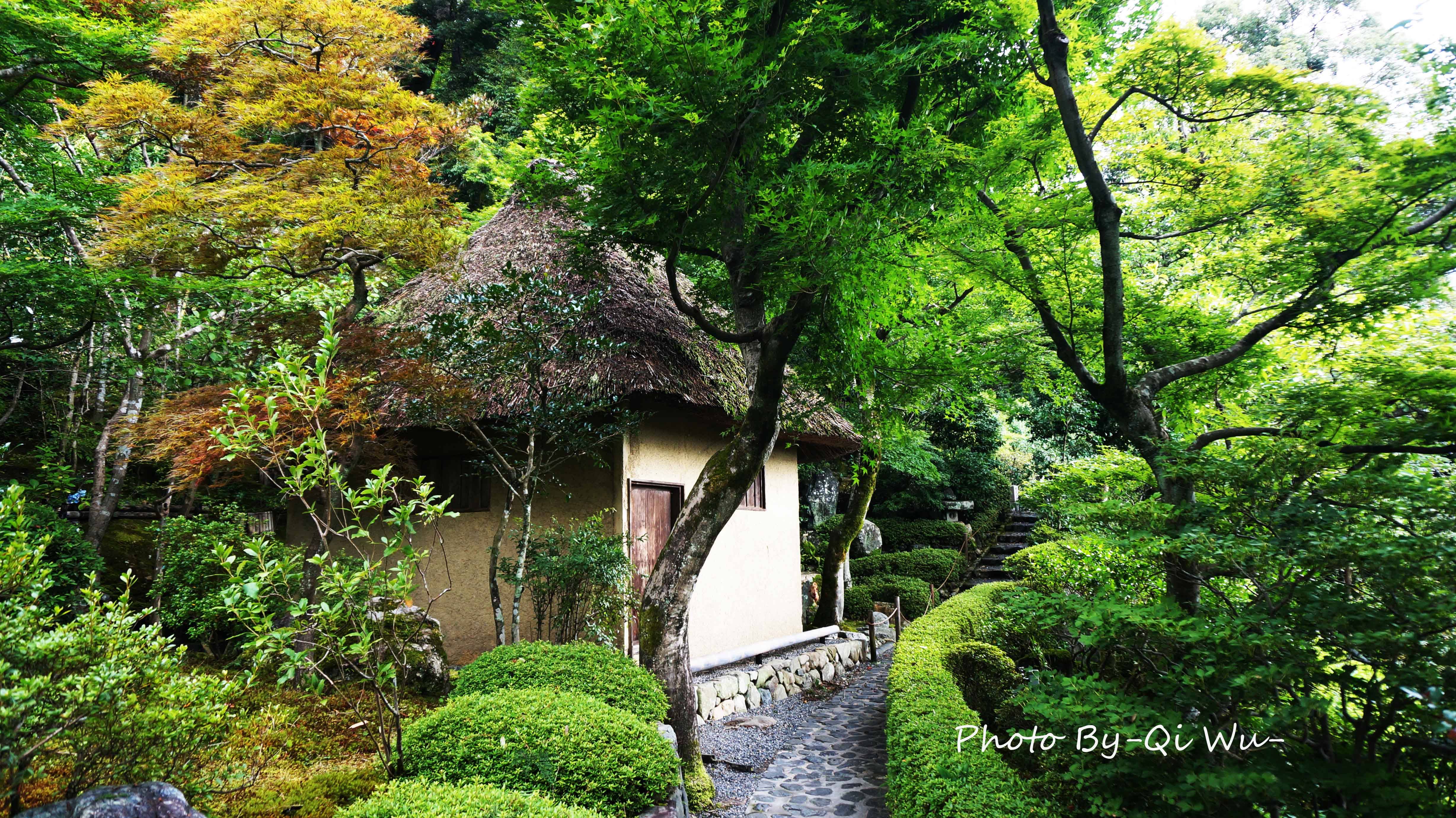 雨中游览京都岚山三寺:铃虫寺,西芳寺,地藏院——日本关西之旅2