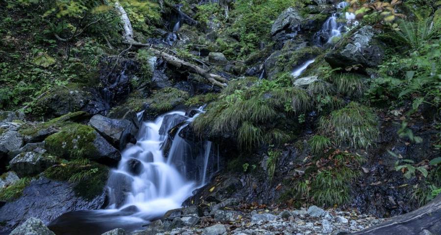 今年起家电产业品牌格局还将大变：一些大牌或将坠落！-家电圈官网