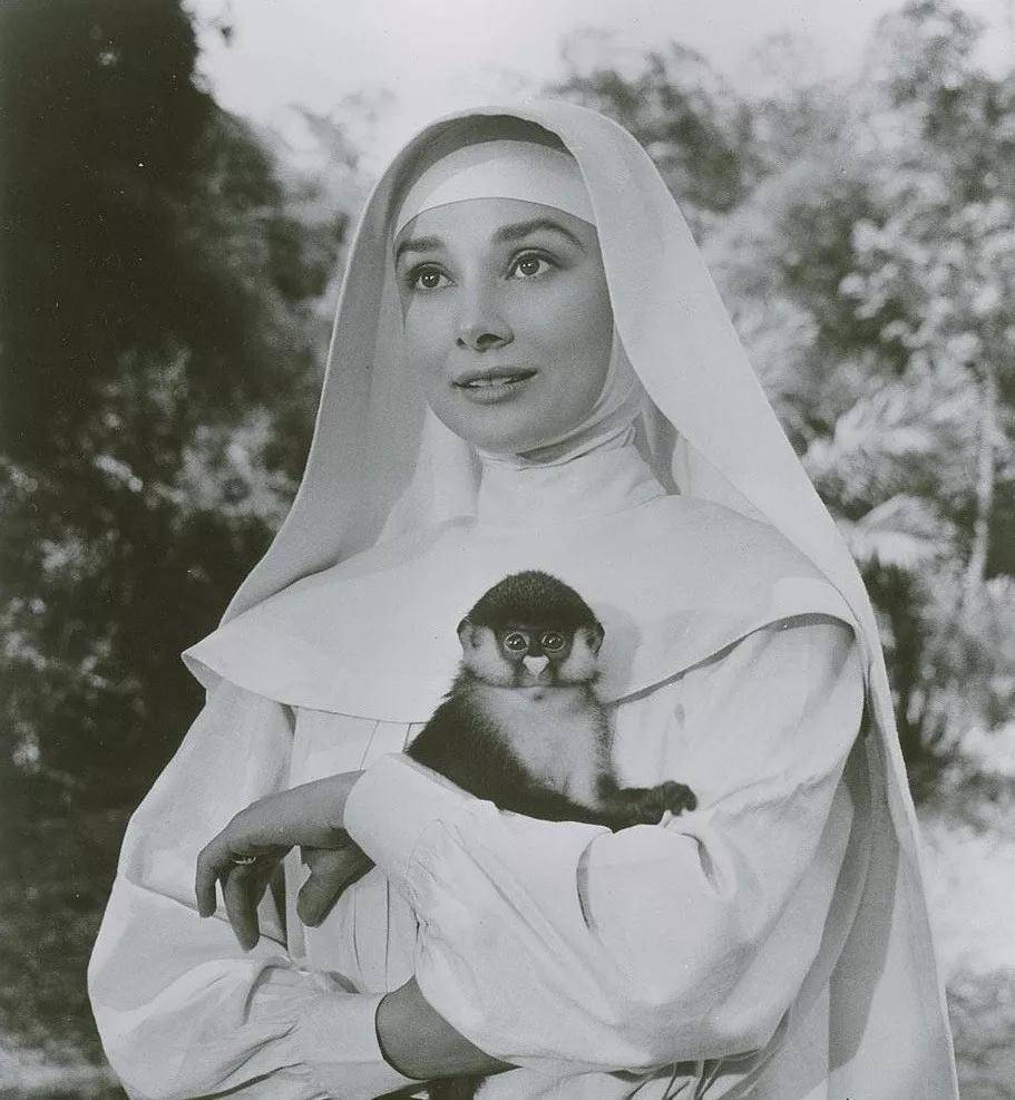 最美天使—奥黛丽·赫本罕见照片,9部电影回顾天使在人间的轨迹