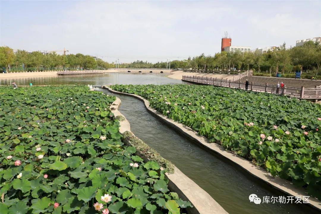 初秋时节,风清气爽, 库尔勒经济技术开发区白鹭河畔, 游人信步,惬意