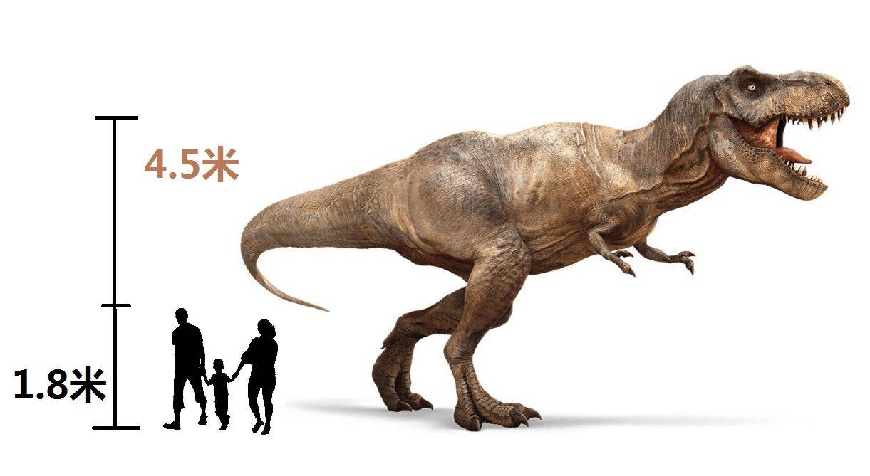 能扛十年?也许一年_恐龙