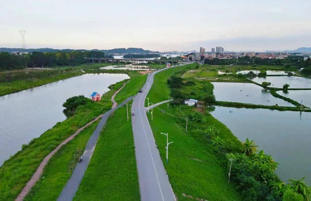 这里是南海金沙岛国家湿地公园,岛内有条42.