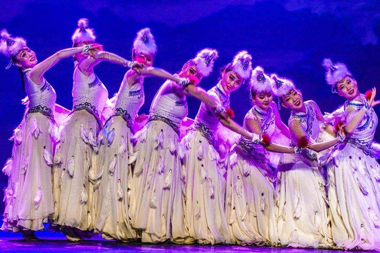 艺苑芳菲七十载歌舞惠民谱华章