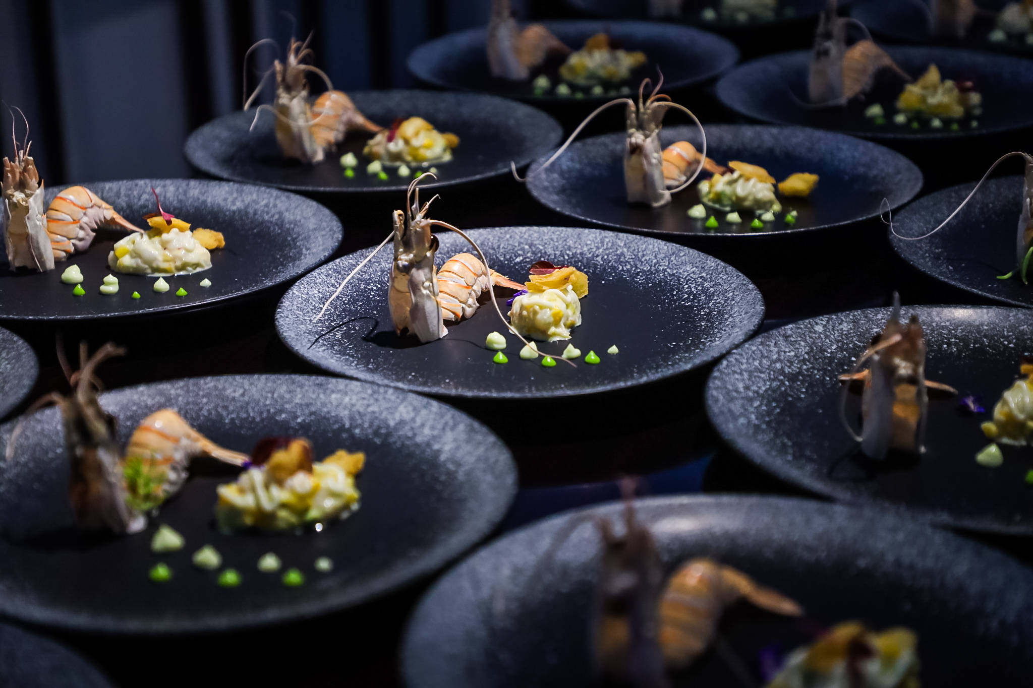 上汐生活美学之旅美图集锦