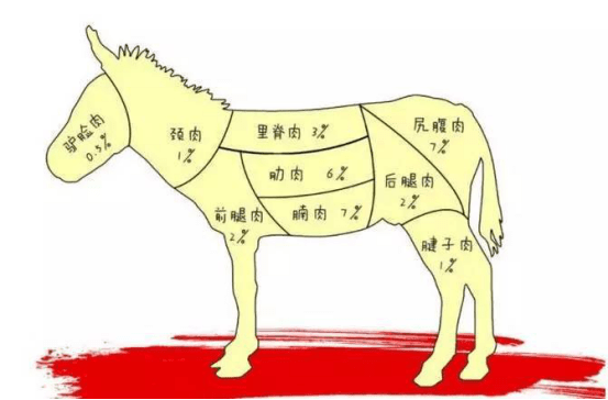 浑身是宝的驴肉——不同部位带来不同味蕾