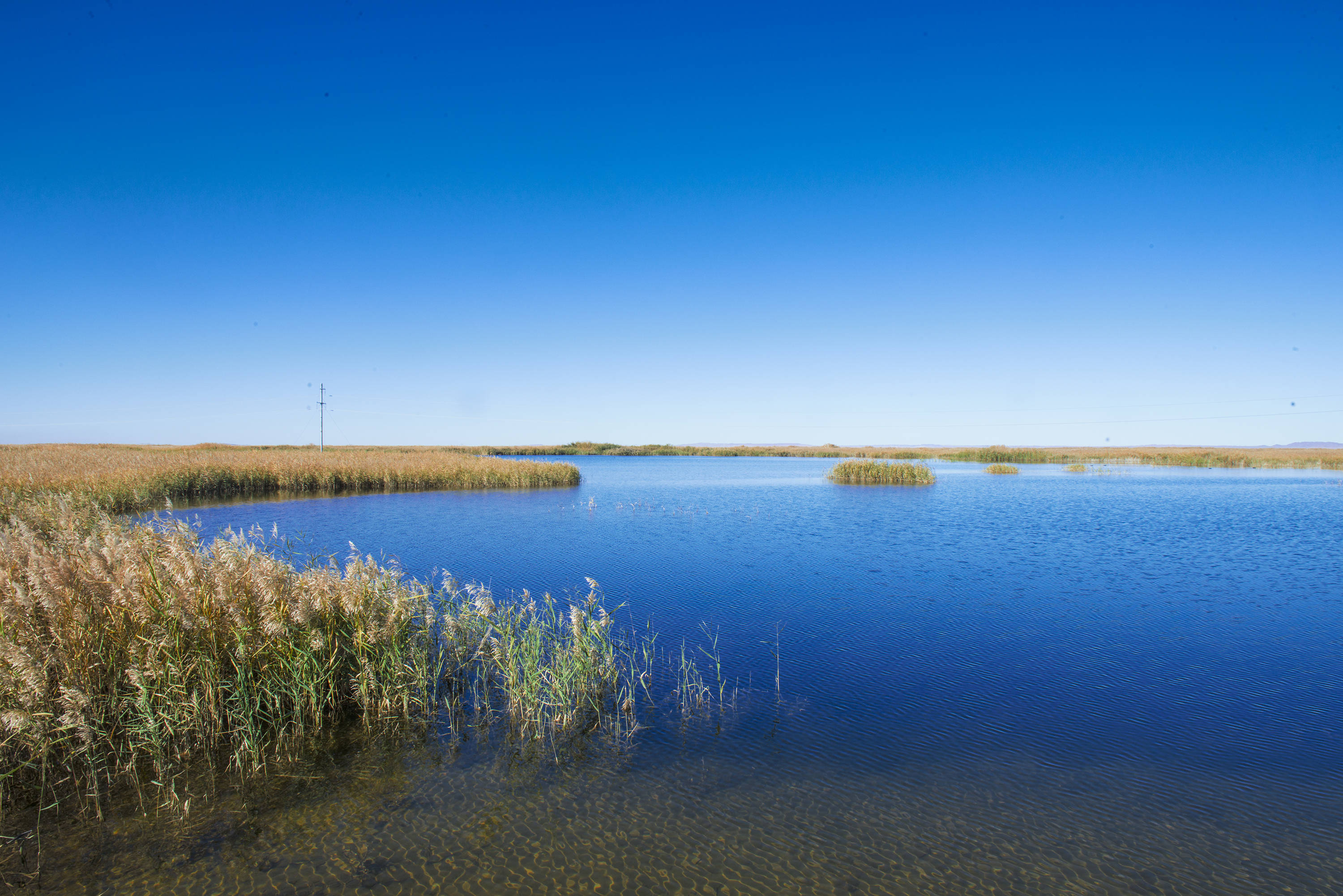 不输青海湖的美貌,沙漠中的水天一色,武威最耀眼的绿宝石