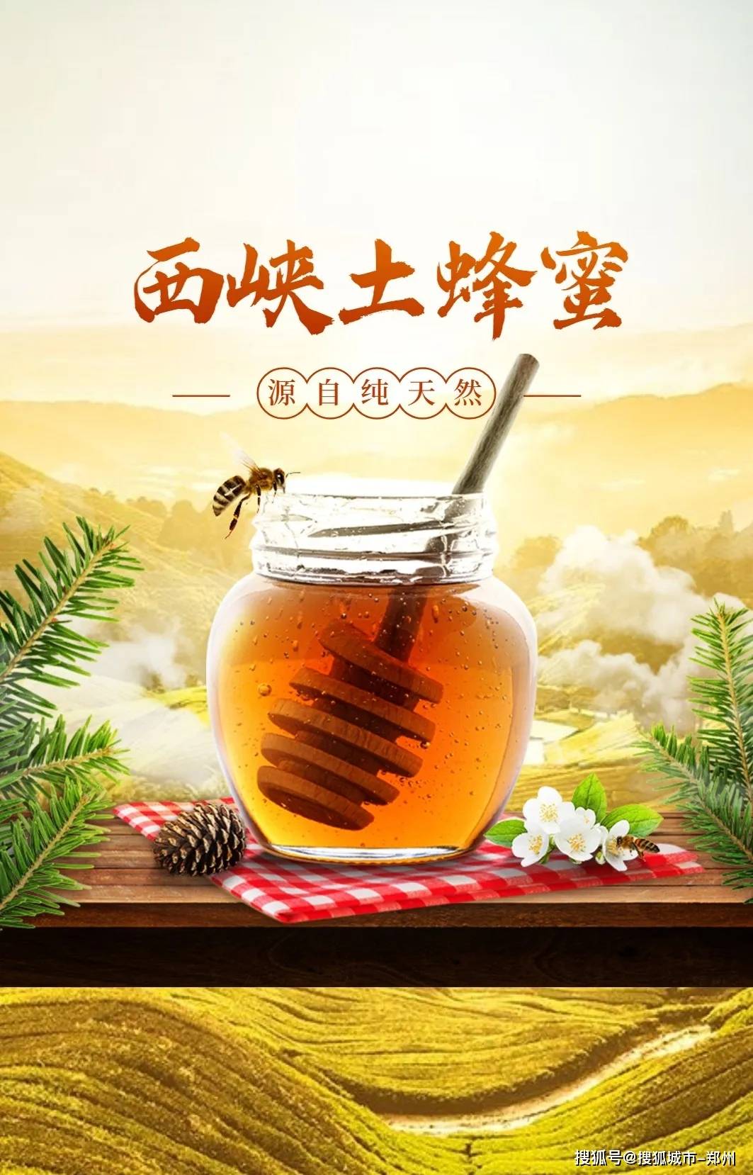 西峡特产纯天然土蜂蜜来自西峡山野的甜蜜事业