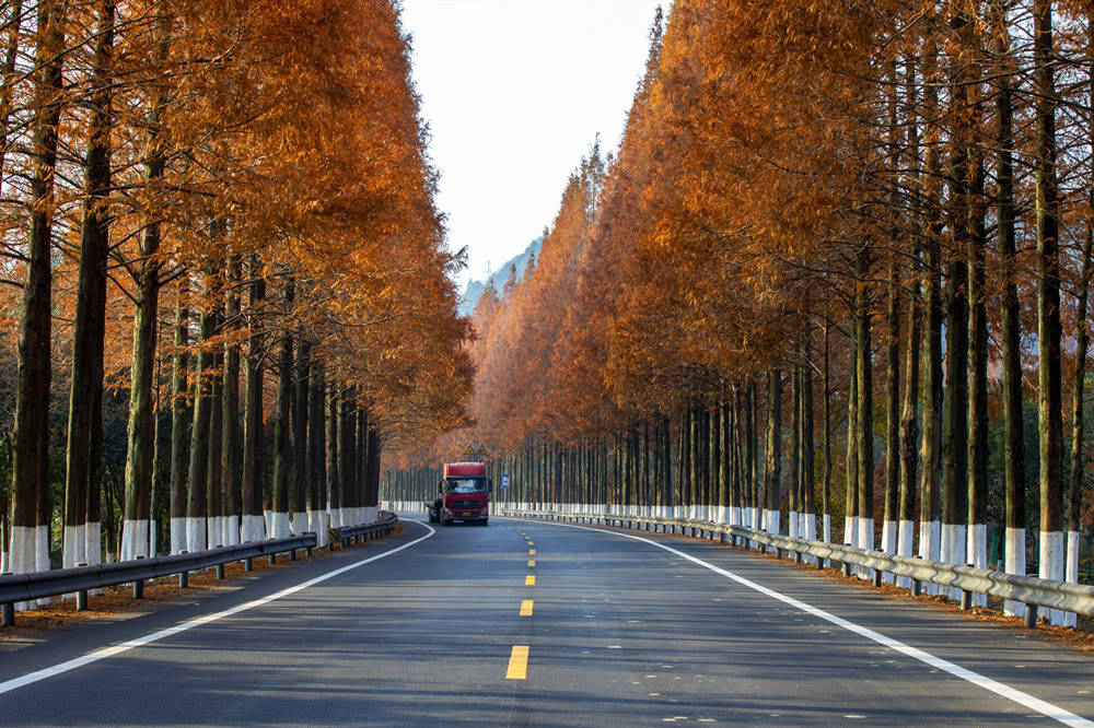 (宁海县公路)(宁海县公路美景)四通八达的交通网络不仅方便了人民出行
