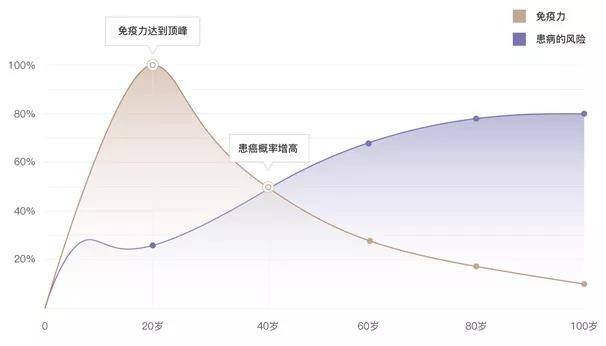 衰老導致多種免疫細胞功能下降!與癌症發病率息息相關