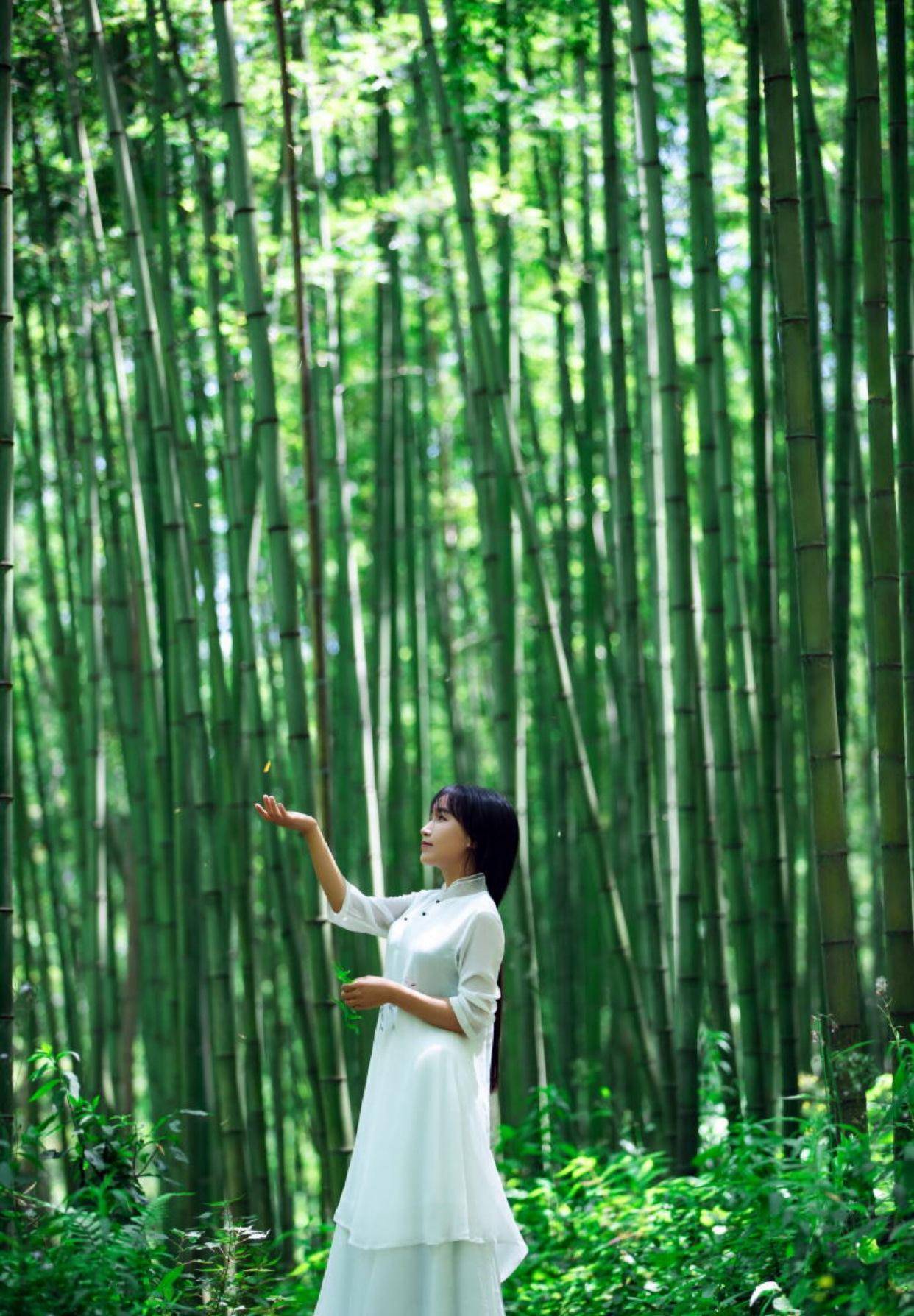 "最美村姑"李子柒,把生活过成诗和远方,将中国风穿成日常模样