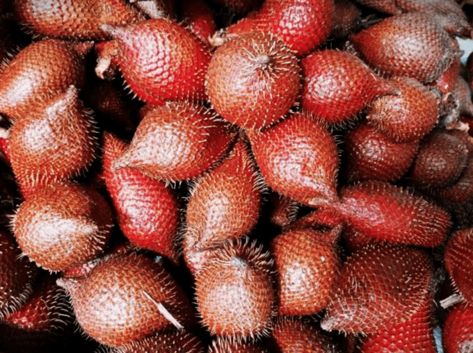 云南西双版纳水果篇