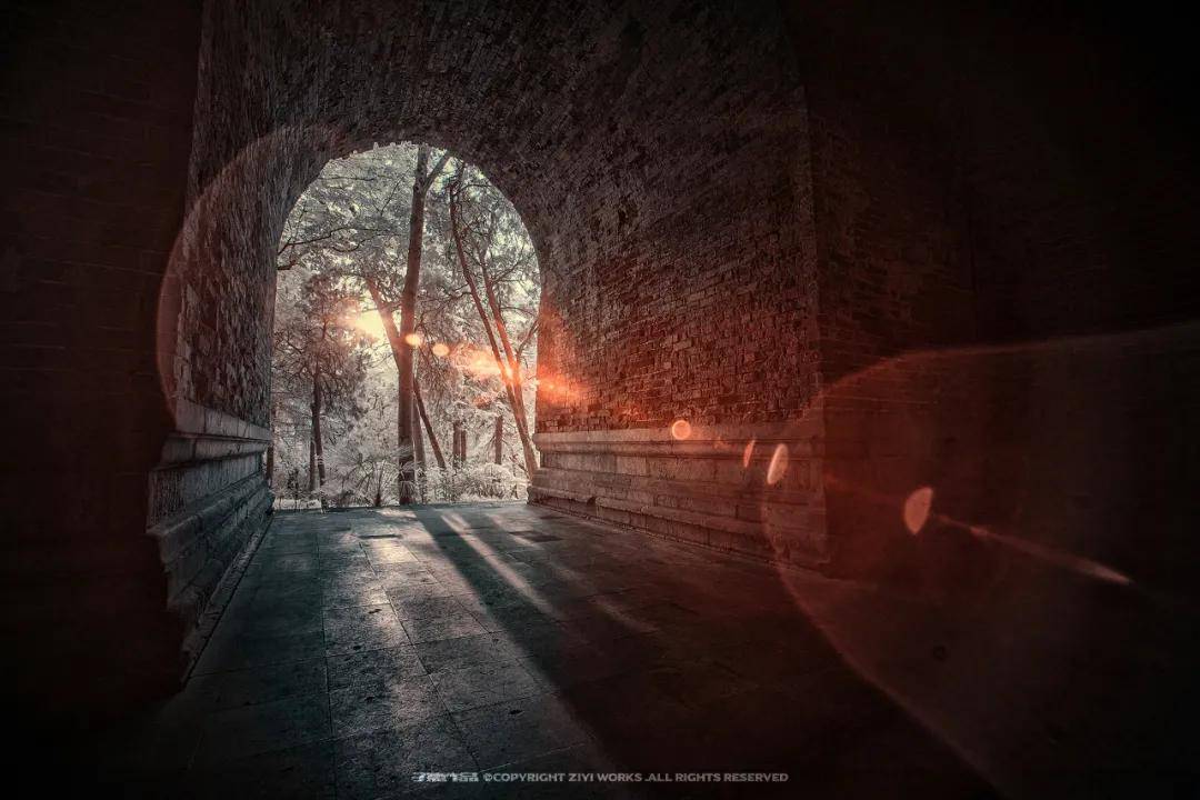 什么是红外摄影师？三步教你学会红外摄影_画面