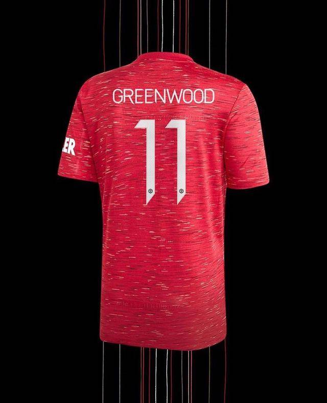 因在冰岛带姑娘回球队下榻酒店格林伍德福登暂时退出国家队