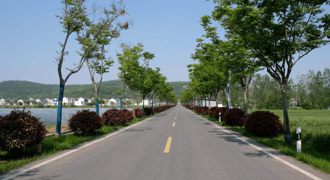 卓尔软件助力建设 南京六合"四好农村路"获省级荣誉_公路