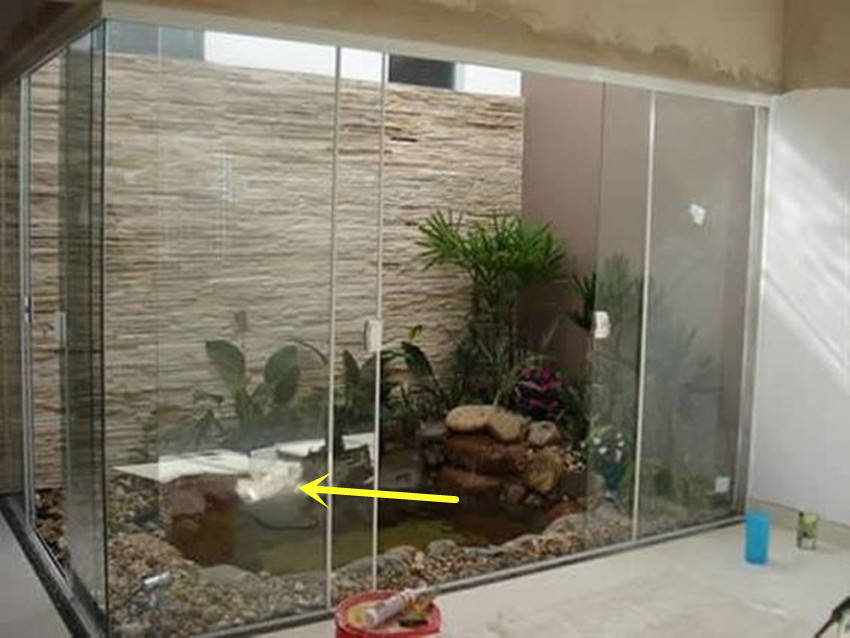 我要有套别墅就在天井挖坑做下沉鱼池围圈玻璃还能秒变步入式