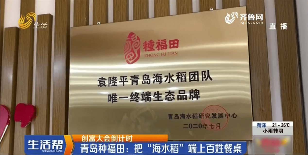 种福田谨记袁老师教诲让海水稻产业造福于人