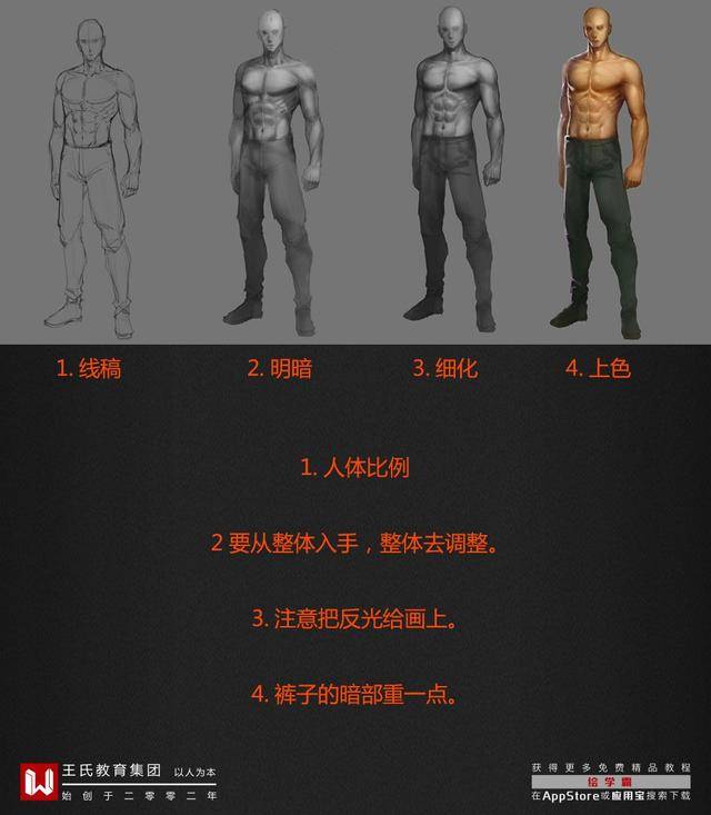 一,比例 以头长为测量单位,成人身高一般在7-8头身左右, 美型人体为8