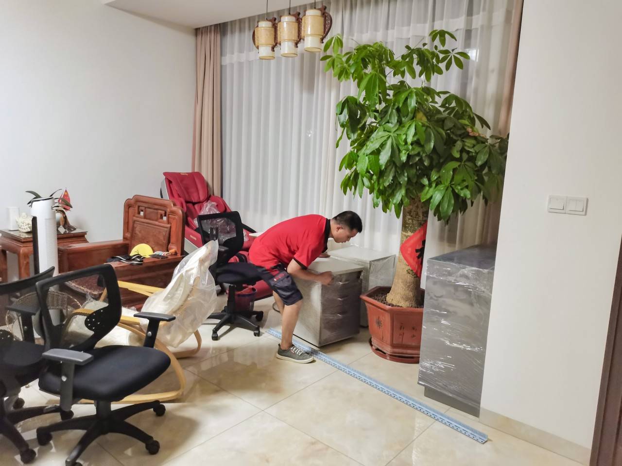 原创搬家日记156|上海搬新房需要买什么东西?家里适合放什么植物?