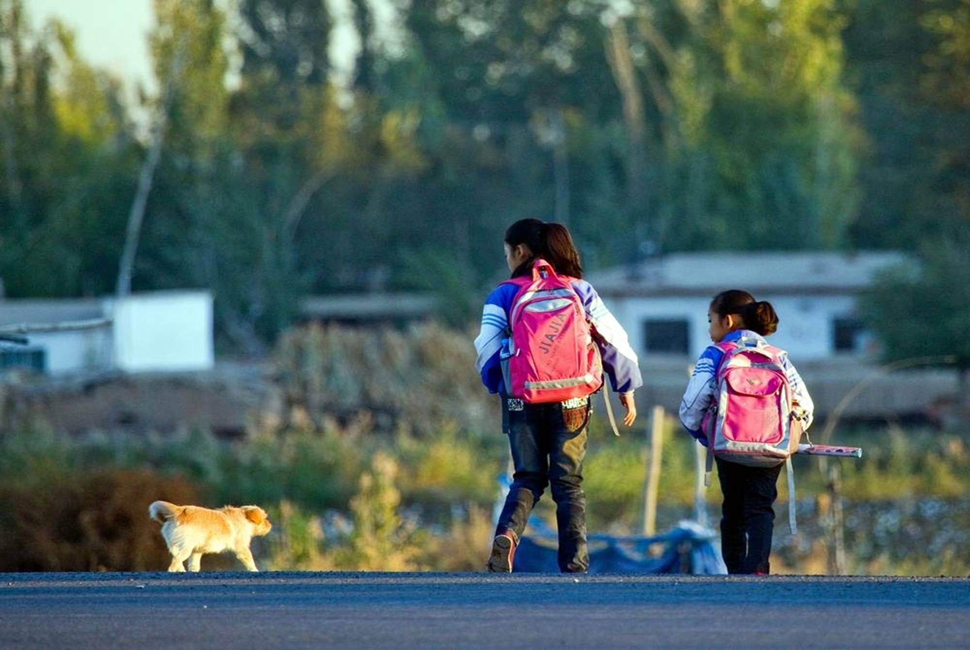 专家:接送孩子是中国父母毁掉孩子的表现,家长怒批:你没孩子?_上下学