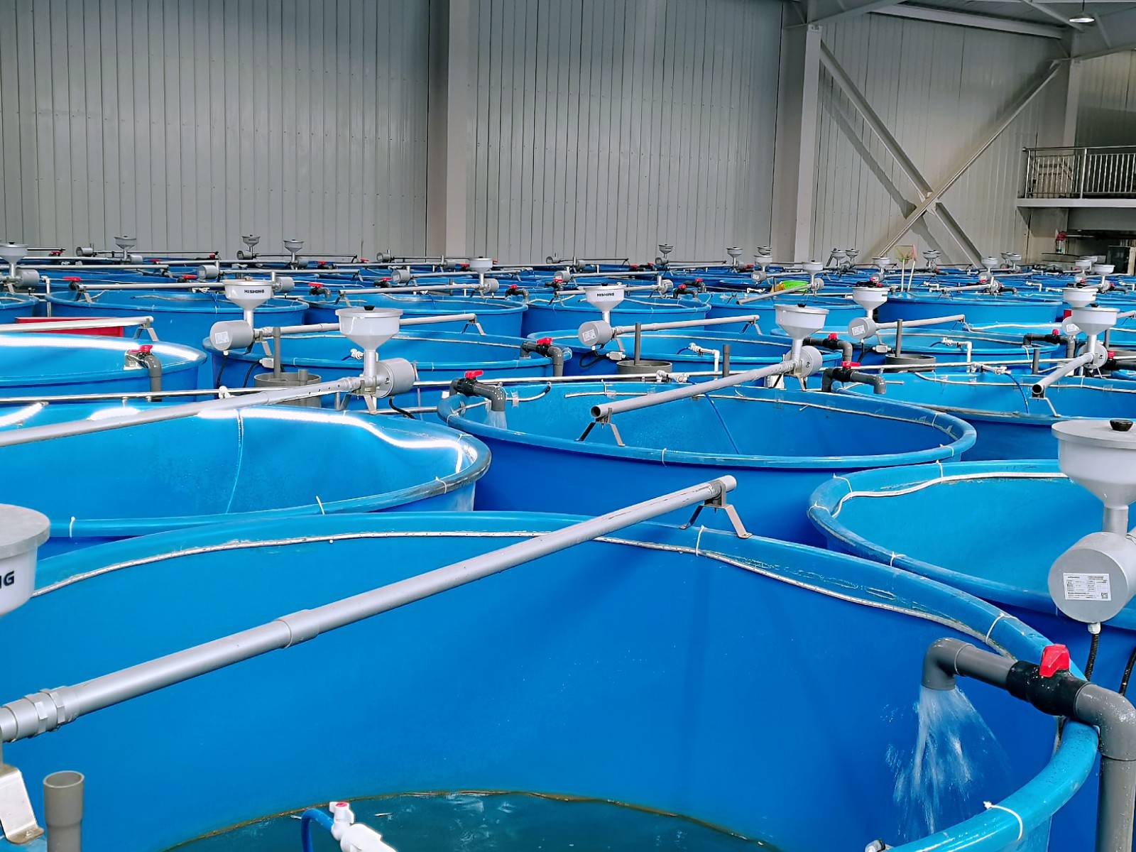 西藏亚东县科学养殖吹响扶贫新号角