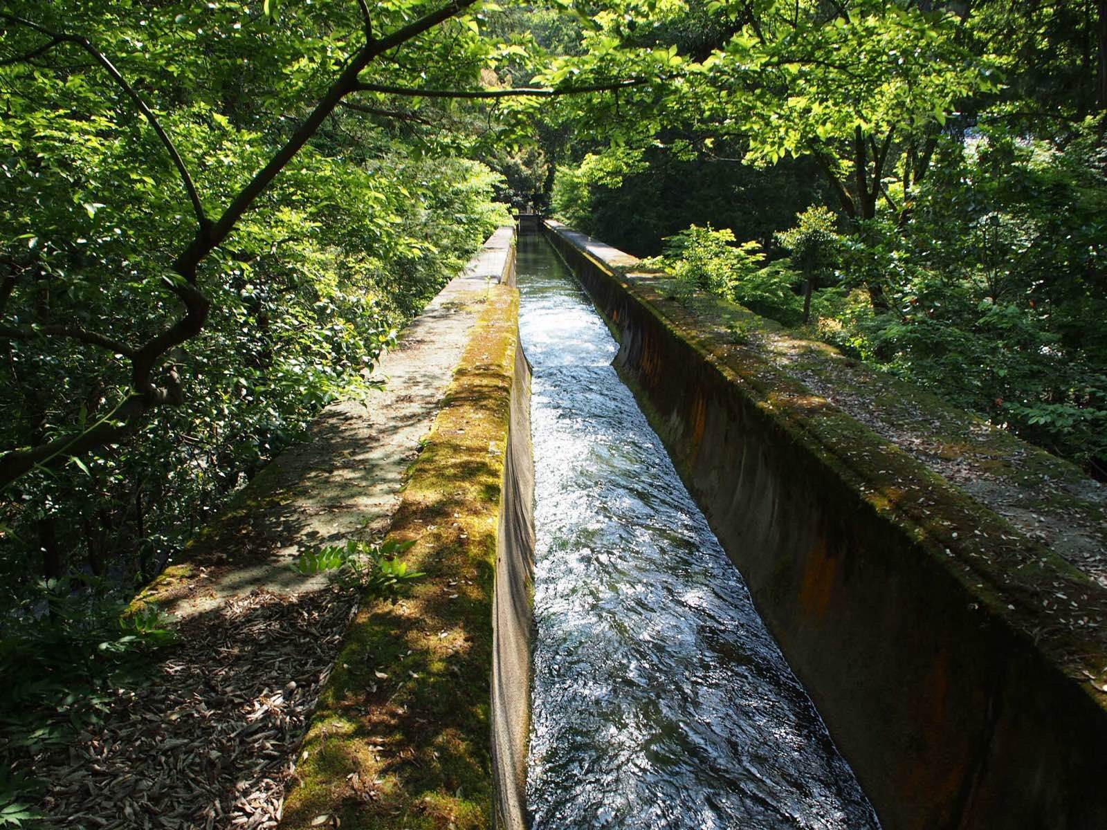 印度一男子花费30年挖出一条3公里水渠:穷是因为懒而不是因为命