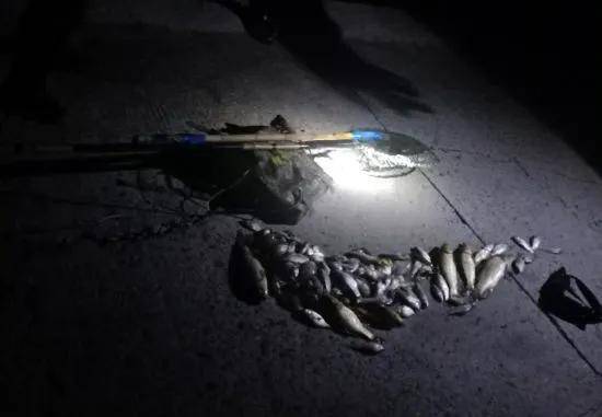 深夜非法电鱼,达州两男子被警方当场抓获!