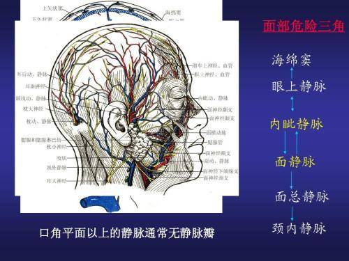 要是碰到了危险三角区,可能危及生命